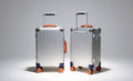 Multi-tone Leather Handle Carry On Luggage